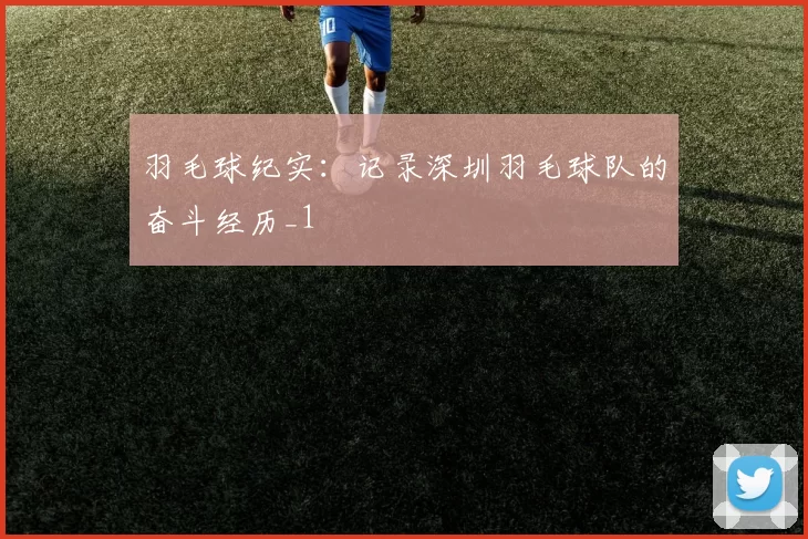 羽毛球纪实：记录深圳羽毛球队的奋斗经历_1