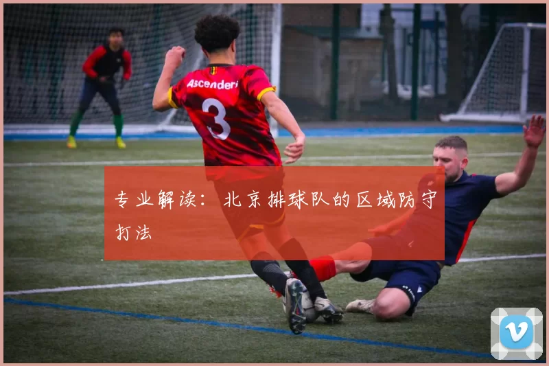 专业解读：北京排球队的区域防守打法