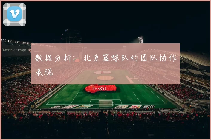 数据分析：北京篮球队的团队协作表现