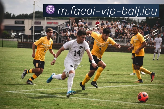 tag/[--tagid--].htmlAPP 封面图