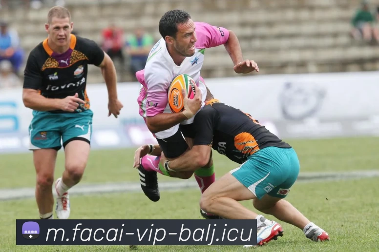 数据防护可视化